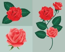 ilustración de flor rosa vector