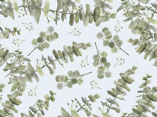 Seamless pattern with eucalyptus leaves