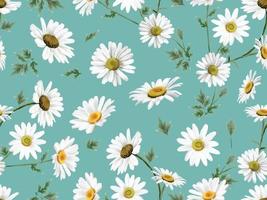 Seamless pattern with white daisy design vector