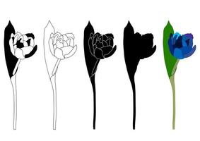silueta de contorno de boceto conjunto aislado de flor de tulipán. dibujo de línea de garabato. vector