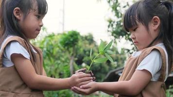 Cute elder sister held a small tree in her hand and gave it to her sister on a blurry green background in spring. Earth day ecology concept video