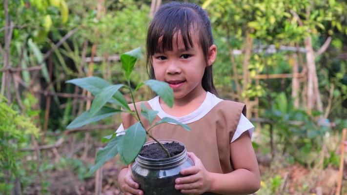 鍋子影片