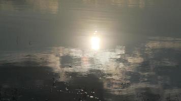 la sombra de la puesta de sol reflejada en la superficie del lago. video