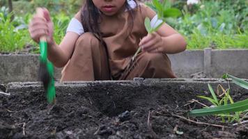 Cute little girl planting young tree in backyard vegetable garden. video