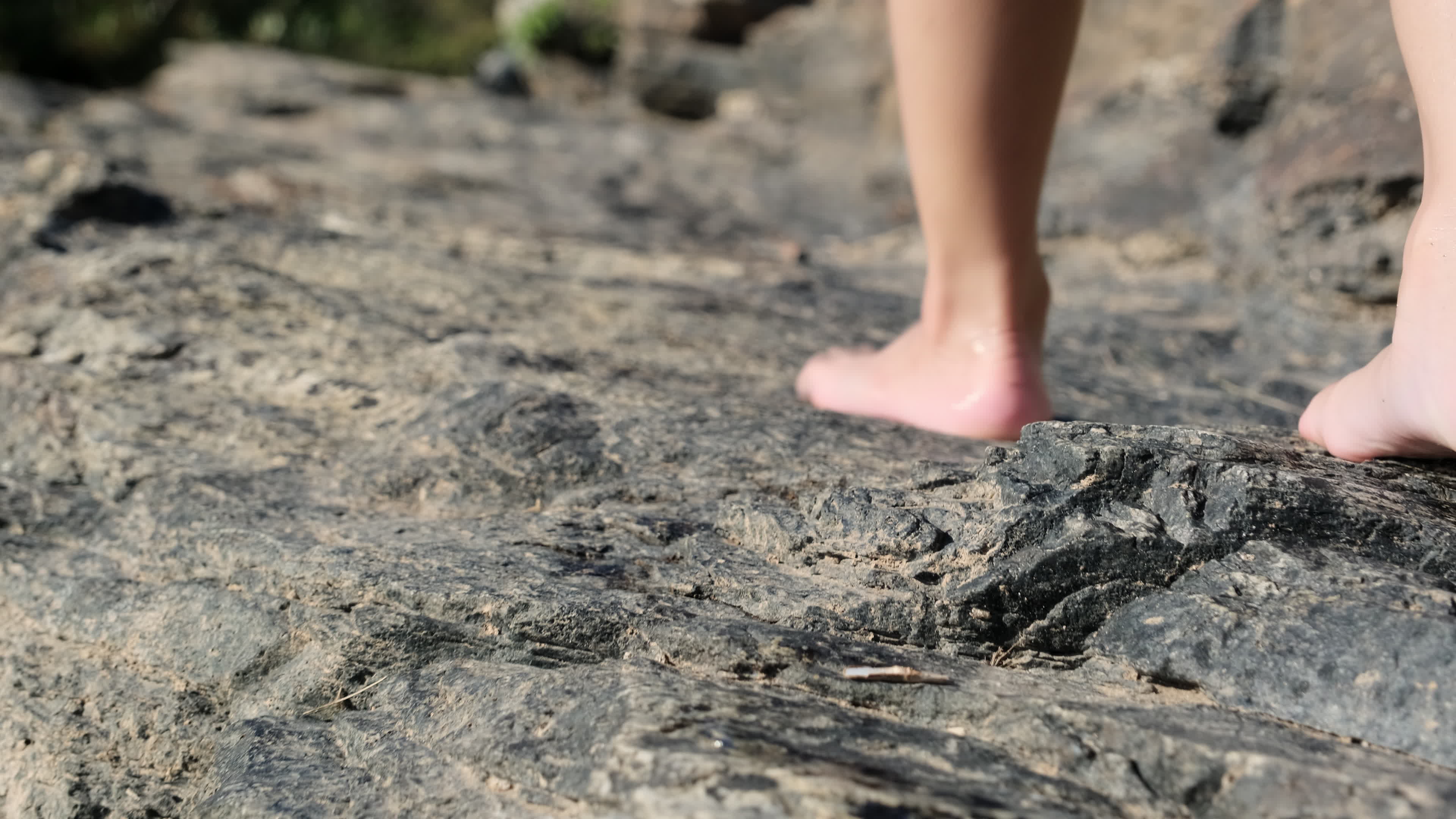 nackte Füße von zwei schönen Schwestern, die auf den Felsen am Bach spazieren gehen. aktive erholung mit kindern am fluss im sommer. 6328391 Stock-Video bei Vecteezy