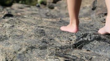 pies descalzos de dos encantadoras hermanas caminando sobre las rocas junto al arroyo. recreación activa con niños en el río en verano. video