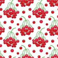 Colorful red rowan berries seamless pattern vector