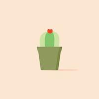 cactus, icono plano de la planta del desierto, vector de señal, pictograma colorido de cactus. símbolo, ilustración de logotipo. diseño de estilo plano