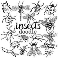 big set of insects in doodle, in black by hand. collection of fly, bee, grasshopper, moth and beetles, pests in the form of vintage sketch. Isolated on white illustration, with lettering INSECTS vector