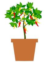 arbol de chile en maceta vector