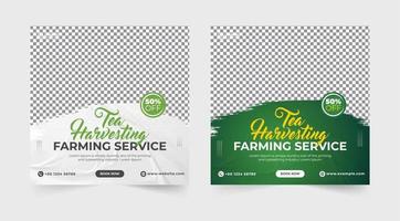 banner de redes sociales del servicio agrícola y de cosecha de té. pancarta de alimentos orgánicos. folleto del servicio de recolección de té. banner de servicio agrícola agrícola. plantilla de volante de alimentos orgánicos. servicio de ganadería agrícola. vector