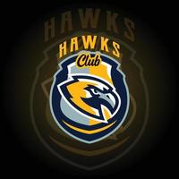 vector del logotipo del juego de deportes electrónicos del equipo eagle hawkes. logotipo de juego diseño del logotipo del deporte mascota. logotipo de ilustración vectorial de mascota animal de juego. mascota, diseño de emblema para el equipo de esports.