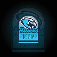 Eagle Hawkes team E-sports Gaming logo vector. Gaming Logo. mascot sport logo design. Gaming animal mascot vector illustration logo. mascot, Emblem design for esports team.