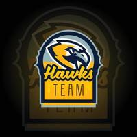 vector del logotipo del juego de deportes electrónicos del equipo eagle hawkes. logotipo de juego diseño del logotipo del deporte mascota. logotipo de ilustración vectorial de mascota animal de juego. mascota, diseño de emblema para el equipo de esports.