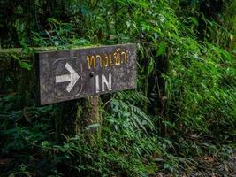 Entrance sign Rainforest background photo