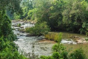 Landscape of streams and forests photo