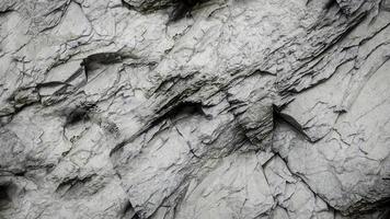 Texture of rock of stone  background closeup , Abstract background, empty template photo