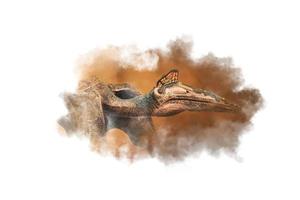 Quetzalcoatlus ,dinosaur on smoke background photo