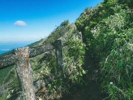 camino del lado del acantilado en el parque nacional doi inthanon, tailandia foto