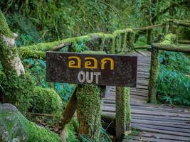 fondo de la selva de la señal de salida foto