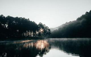 The landscape of the reservoir and the morning fog photo