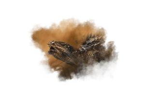 Ankylosaurus Dinosaur on smoke background photo