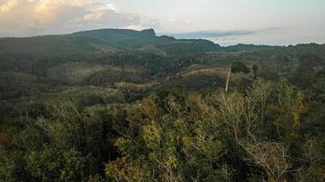 An aerial view of forest . photo