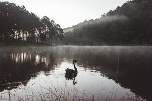 el paisaje del embalse y la niebla de la mañana foto