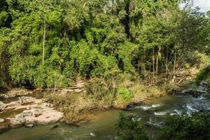 Landscape of streams and forests photo