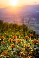 sunset in the mountains landscape , Thailand photo