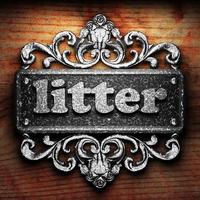 litter word of iron on wooden background photo