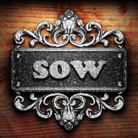 sow word of iron on wooden background photo