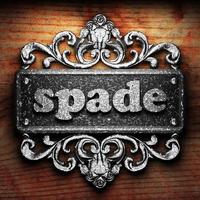 spade word of iron on wooden background photo