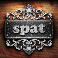 spat word of iron on wooden background photo