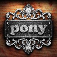 pony word of iron on wooden background photo