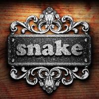 snake word of iron on wooden background photo