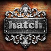 hatch word of iron on wooden background photo