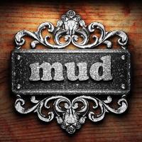 mud word of iron on wooden background photo