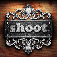 shoot word of iron on wooden background photo