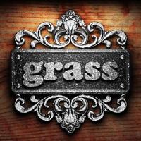 grass word of iron on wooden background photo