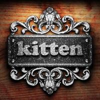 kitten word of iron on wooden background photo