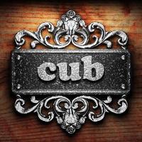 cub word of iron on wooden background photo