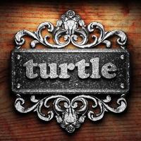 turtle word of iron on wooden background photo