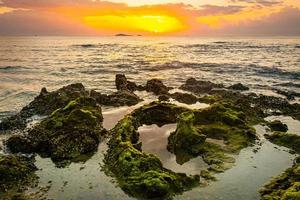 sunset landscape on the beach rocks in foreground photo