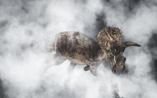 Triceratops  ,dinosaur on smoke background photo