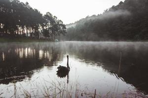 The landscape of the reservoir and the morning fog photo