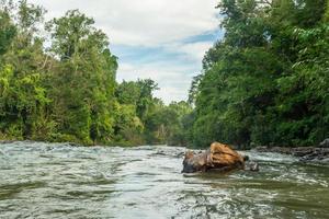 Landscape of streams and forests photo