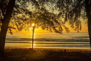 Pink sunset over the smooth surface of the Black Sea with pine trees photo