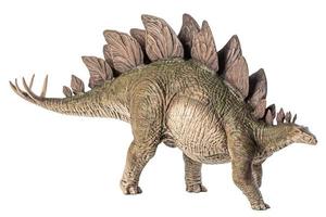 dinosaurio estegosaurio sobre fondo blanco foto