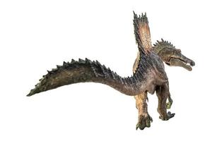 Spinosaurus , dinosaur on white background . photo